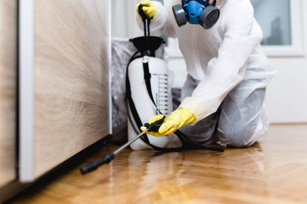 Best Wasp Removal Services  in Baxter, TN