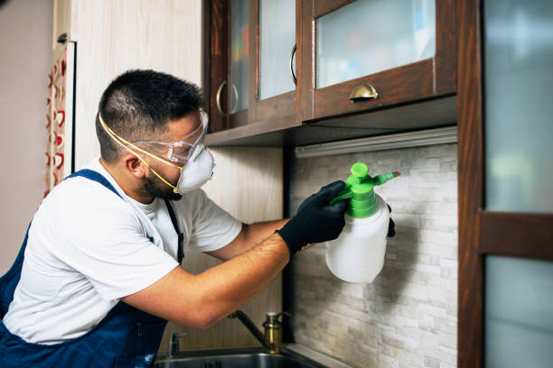 Best Bed Bug Extermination  in Baxter, TN