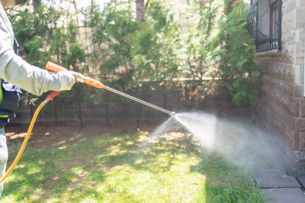 Best Pest Removal Services  in Baxter, TN