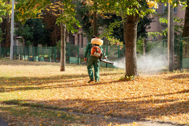 Best Affordable Pest Control Services  in Baxter, TN