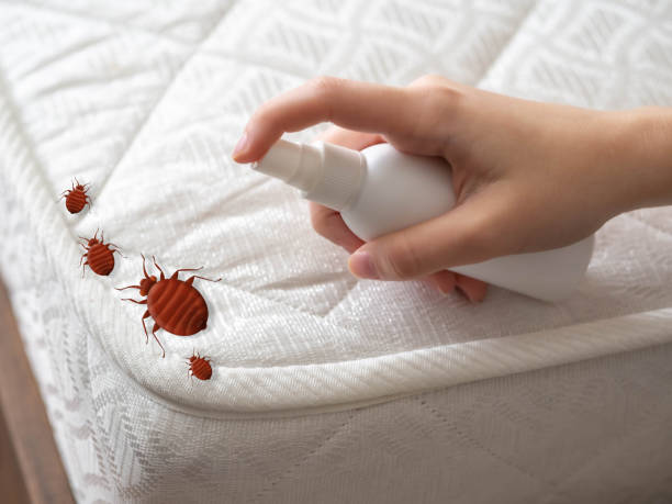 Baxter, TN Pest Control Company