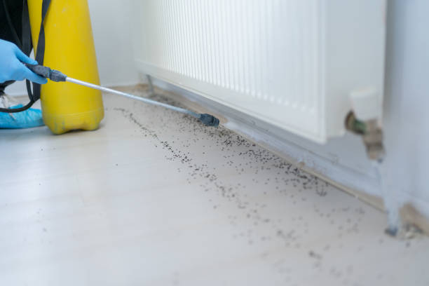 Best Cockroach Control Services  in Baxter, TN