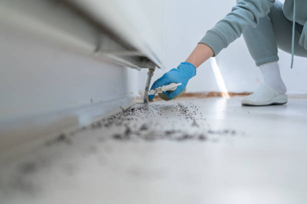 Best Wasp Removal Services  in Baxter, TN